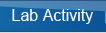 activity